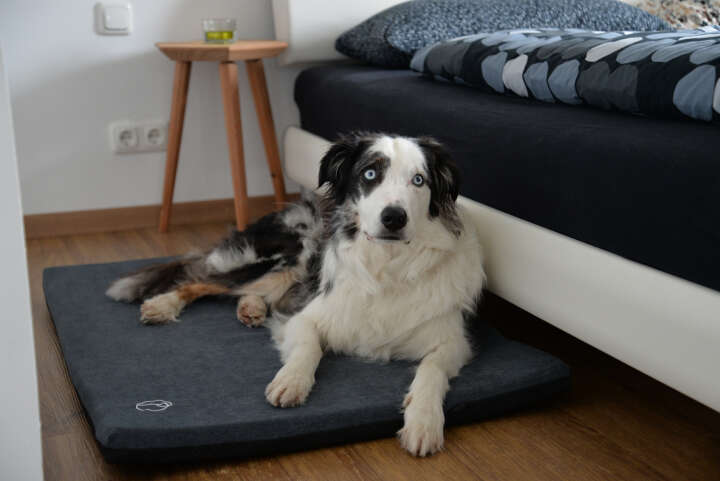 petlando Matte Turino Ortho